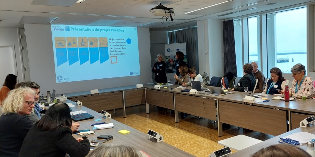Interactive session during the WINBLUE Pilot-Training Workshop in La Rochelle.